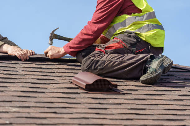 Best Metal Roofing Contractor  in Mayflower, AR