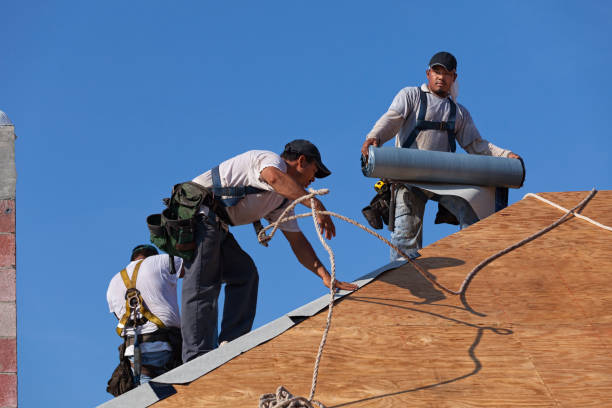 Best Storm Damage Roof Repair  in Mayflower, AR